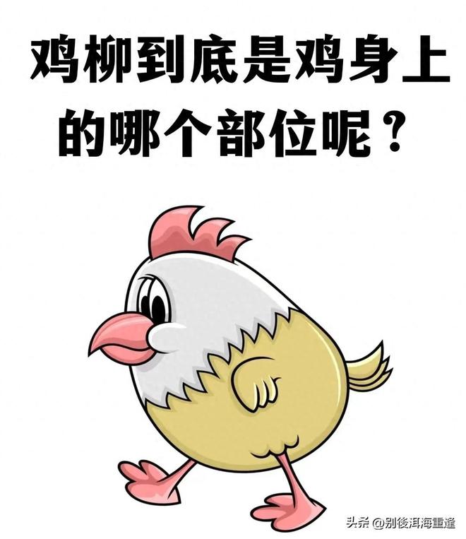 郑钦文美网四消息,新华社与WTA发文祝贺,对手出炉,官网被打脸